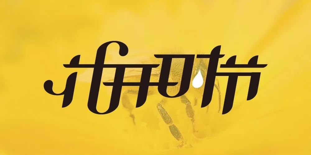 蜂蜜产品花开时节logo设计_高瑞品牌_北京logo设计