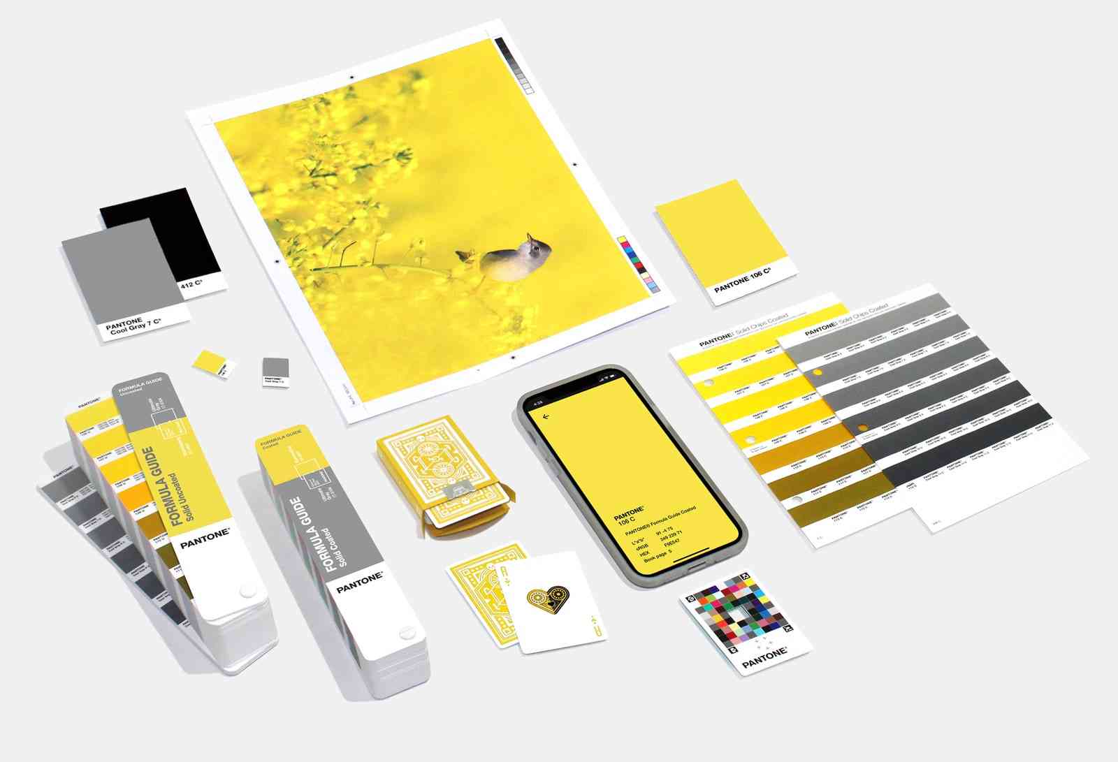 2021年度代表色：极致灰和荧光黄色卡_高瑞品牌